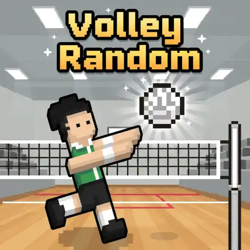 Volley Random Unblocked logo